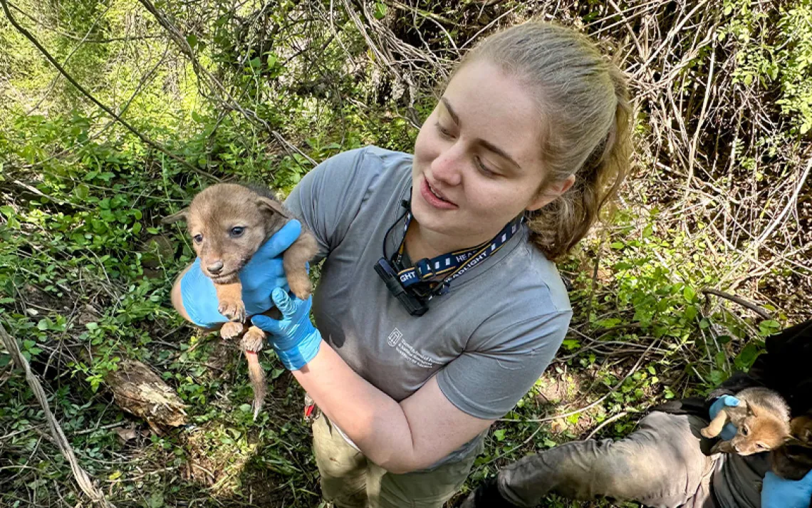 Photo courtesy of Summer Fink