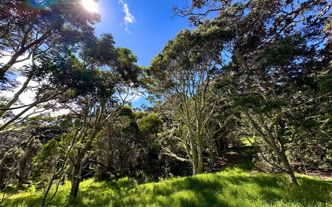 Photo by Jill K. Robinson