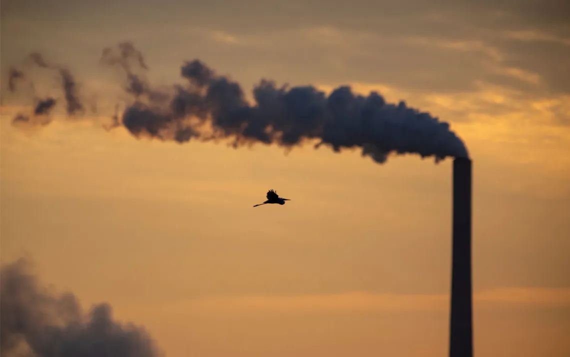 A great egret is seen in flight as pollution and steam rise from the stacks of the Miami Fort Power Station, which is situated along the Ohio River, in Lawrenceburg, Indiana, on September 21, 2025, at the Oxbow Nature Conservancy