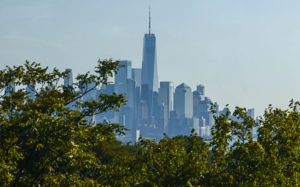 A few of One World Trade, seen through a lush canopy of trees.