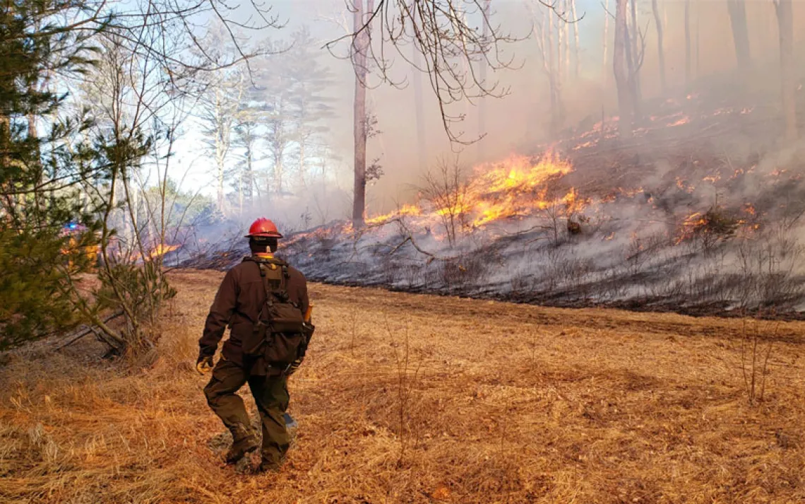 A firefigher watches a small prescribed fire scorch the earth several feet away.