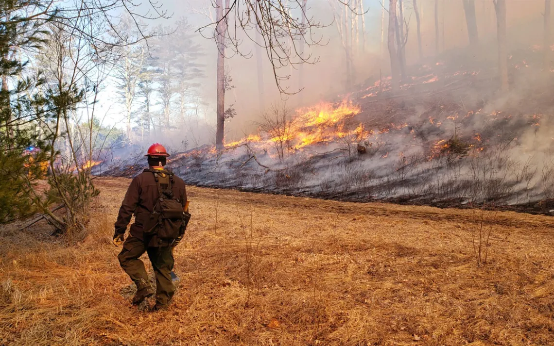 A firefigher watches a small prescribed fire scorch the earth several feet away.