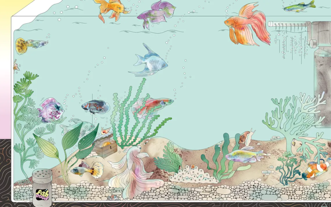 Illustration shows the inside of a home aquarium, with fish, snails, plants, and props.