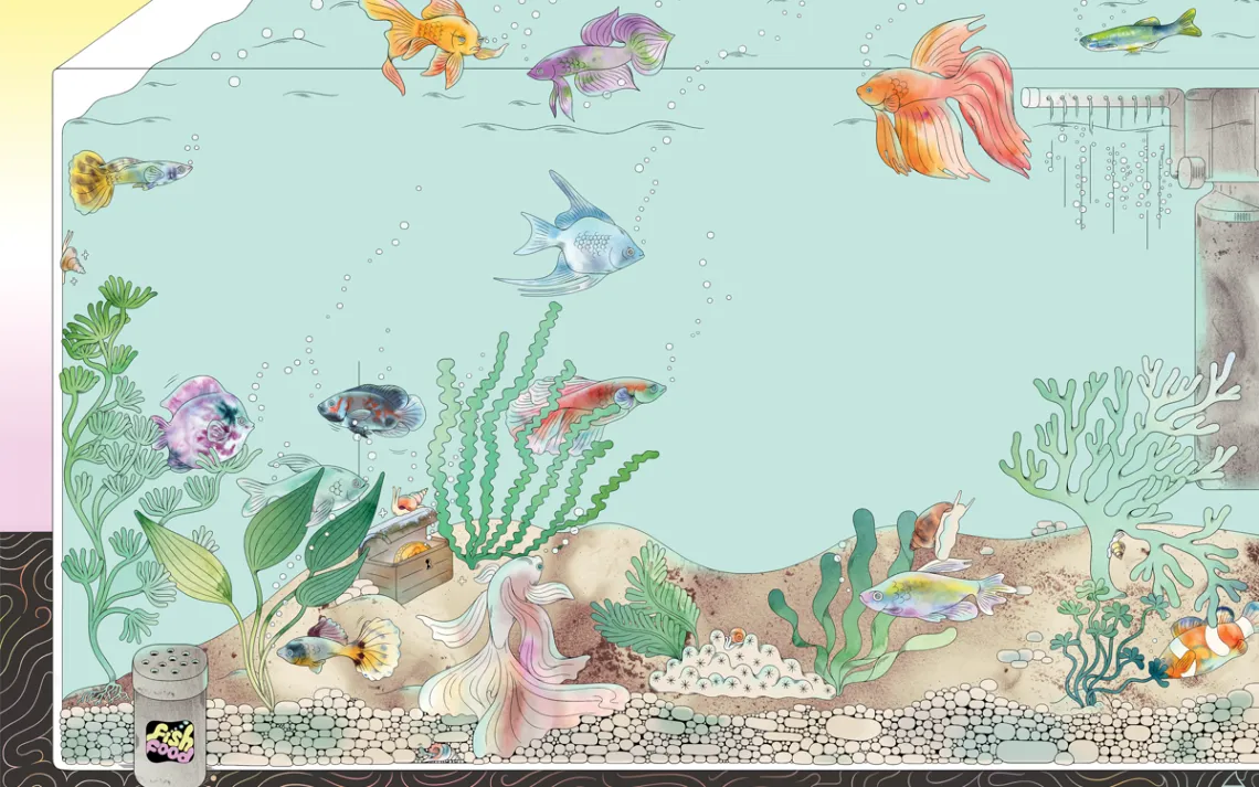Illustration shows the inside of a home aquarium, with fish, snails, plants, and props.