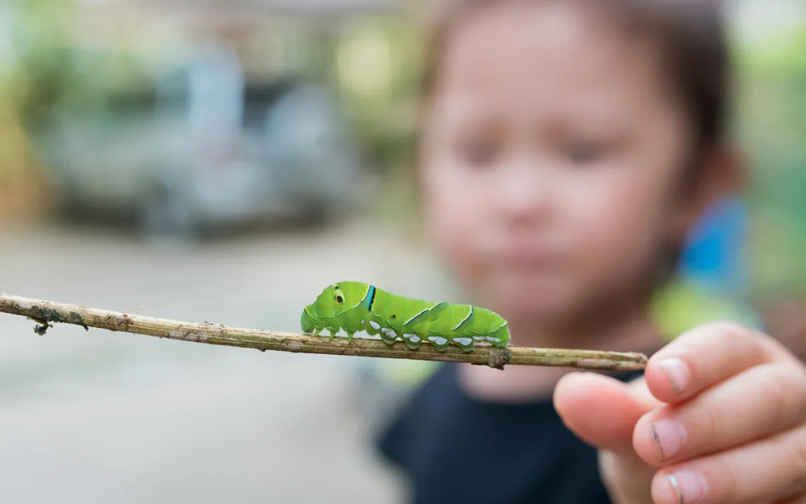 Close-up of a green caterpillar on a stick with a blurry child holding it in the background.