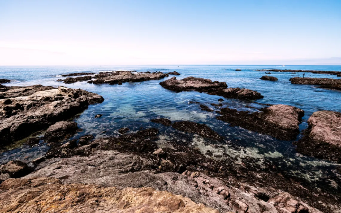 California tidal region