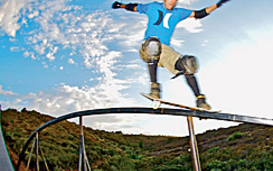 Bob Burnquist, professional skateboarder and organic farmer