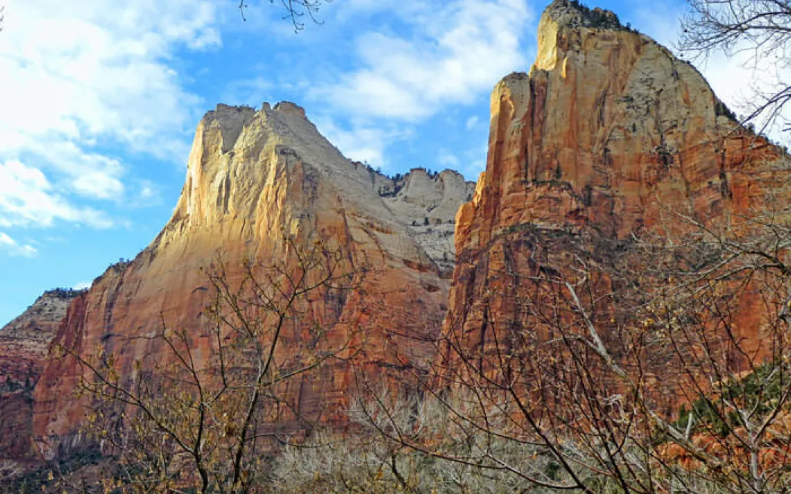 Heaps Canyon, Zion National Park