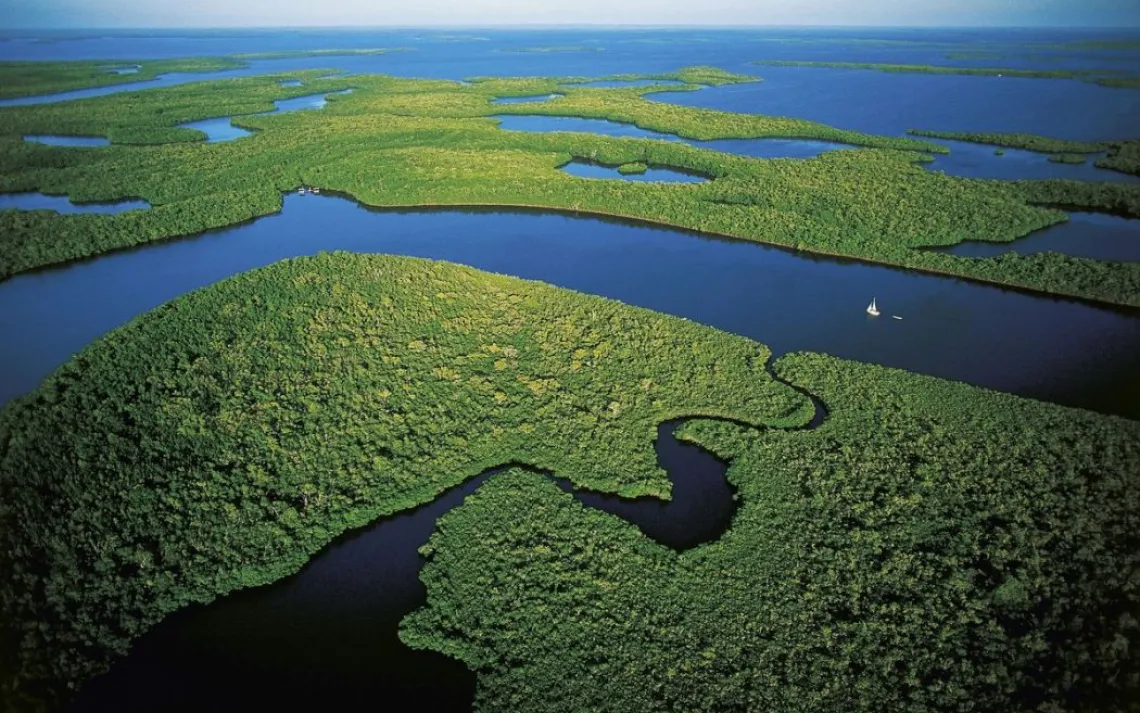 Florida: Mangroves in Everglades National Park
