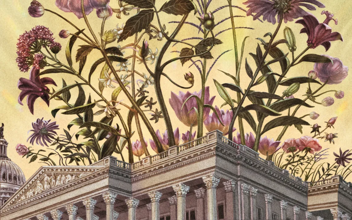 Illustration shows pink flowers growing out of a capitol building, with a bird and butterflies above.