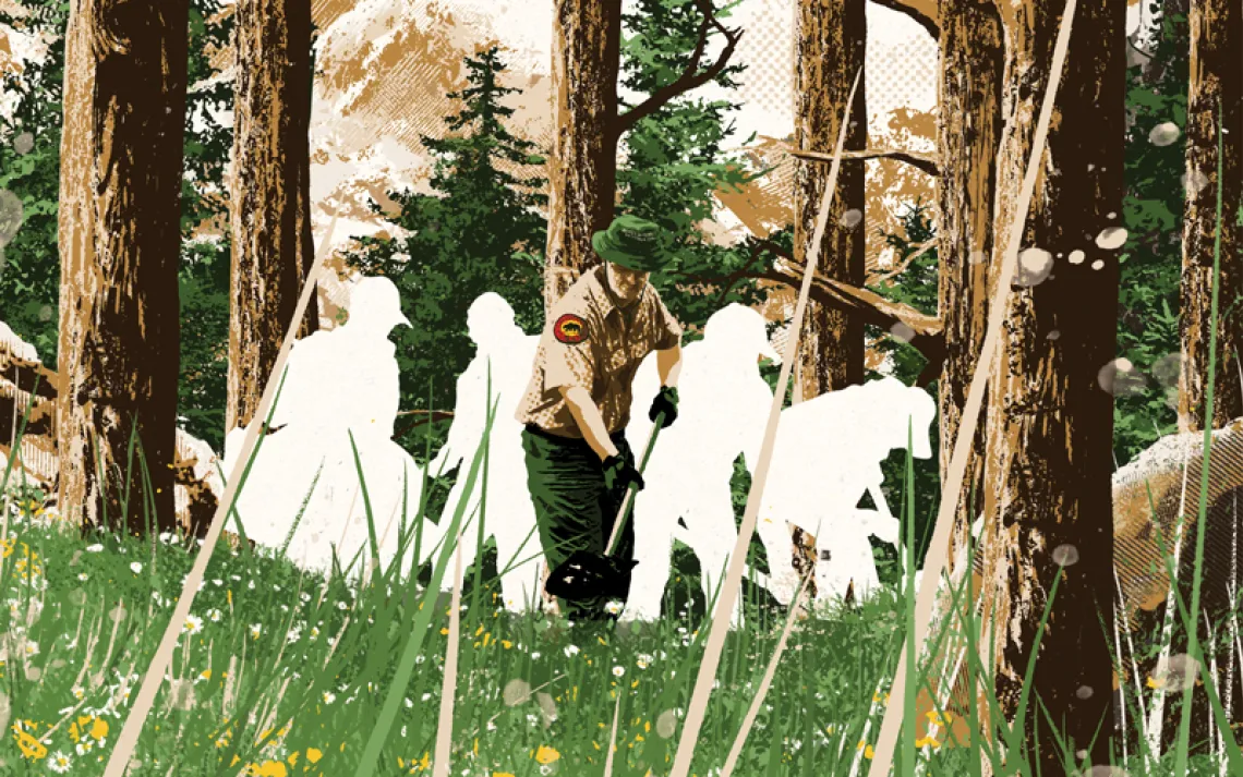 Illustration shows a tall forest with a California State Park worker maintaining a trail with grass and wildflowers. Several white silhouetted/invisible people work beside him.