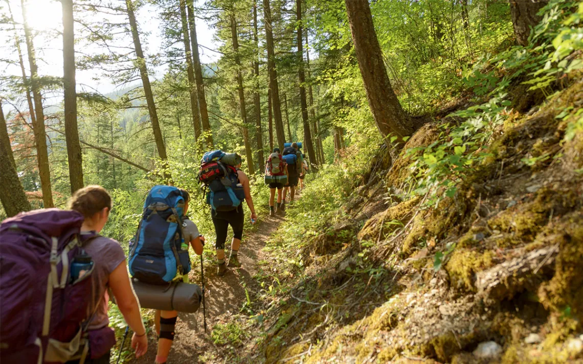 Seven people carrying backpacks climb a mountainside trail through a forest.