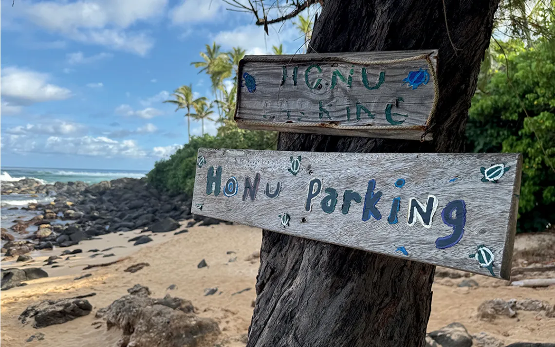 Two wooden signs reading "Honu Parking" on a tree on a beach