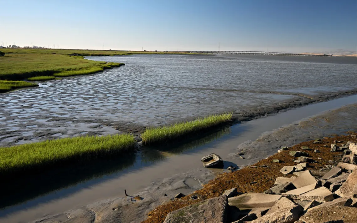 The flat muddy and grassy wetland at Cooley Landing Park with the Dumbarton Bridge in the background.