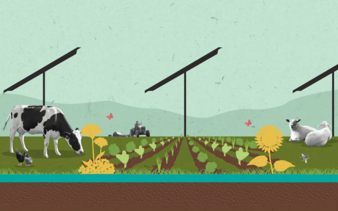 Illustration shows a farm setting with a cow, chickens, sheep, a barn, a sunflower, a farmer on a tractor, crops, and solar panels.