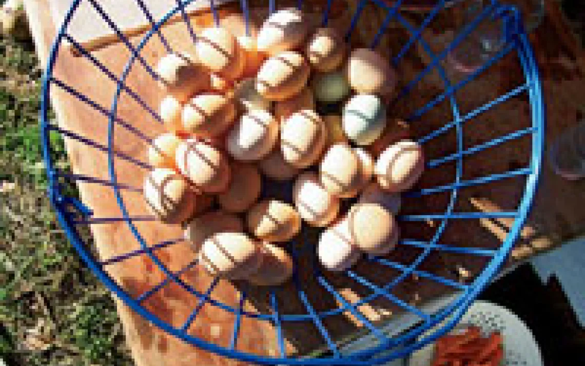 Student photographer Gabriel Oxhorn, 15, got up early on his last day at Pie Ranch, milked the farm's goats, and then snapped a picture of the eggs his classmates had gathered (and later boiled and ate).