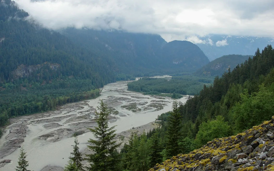 Squamish River Ponderosapine210