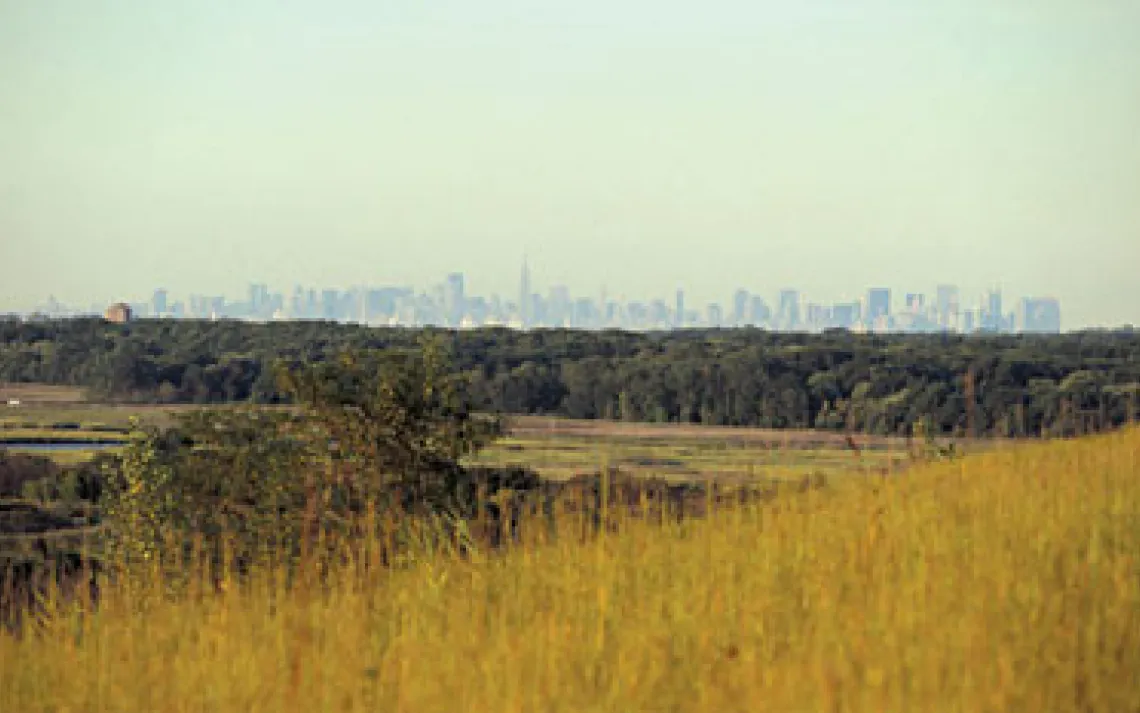 The Big Apple's new park (foreground) will combine with adjacent woodlands to form a natural oasis just outside Manhattan.