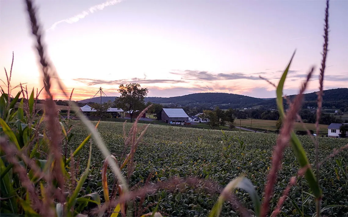 Twilight eclipses harvest-ripe farmland in Berwick, Pa. on Sept. 15, 2026.