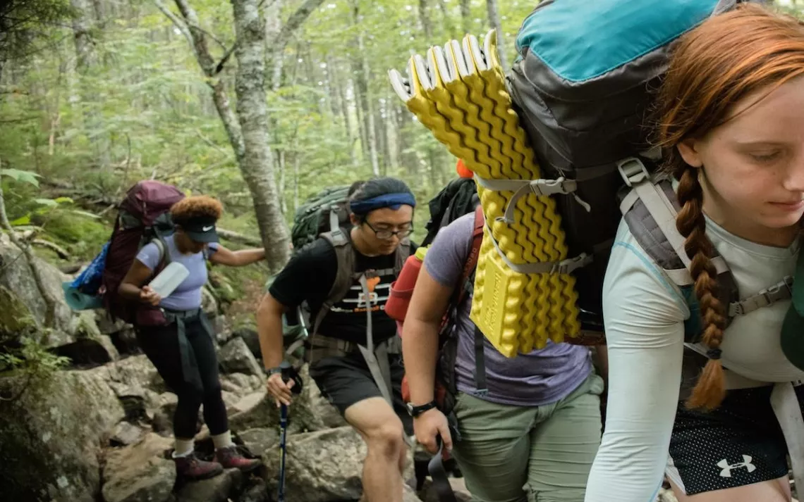 These schools are ahead of the curve when it comes to sustainability