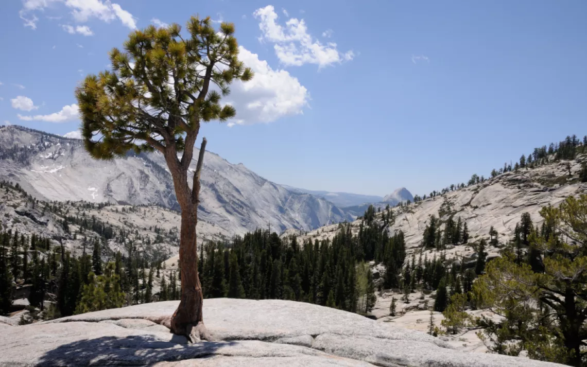 Olmsted Point, Yosemite National Park