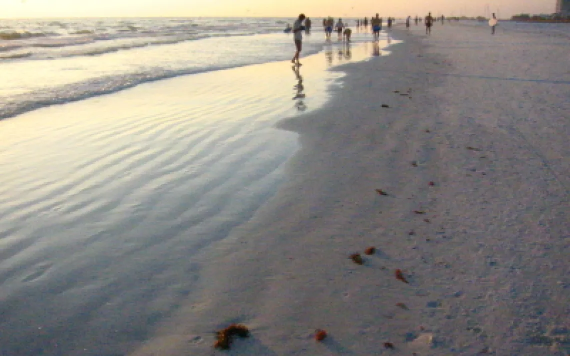 Siesta Beach, Siesta Key