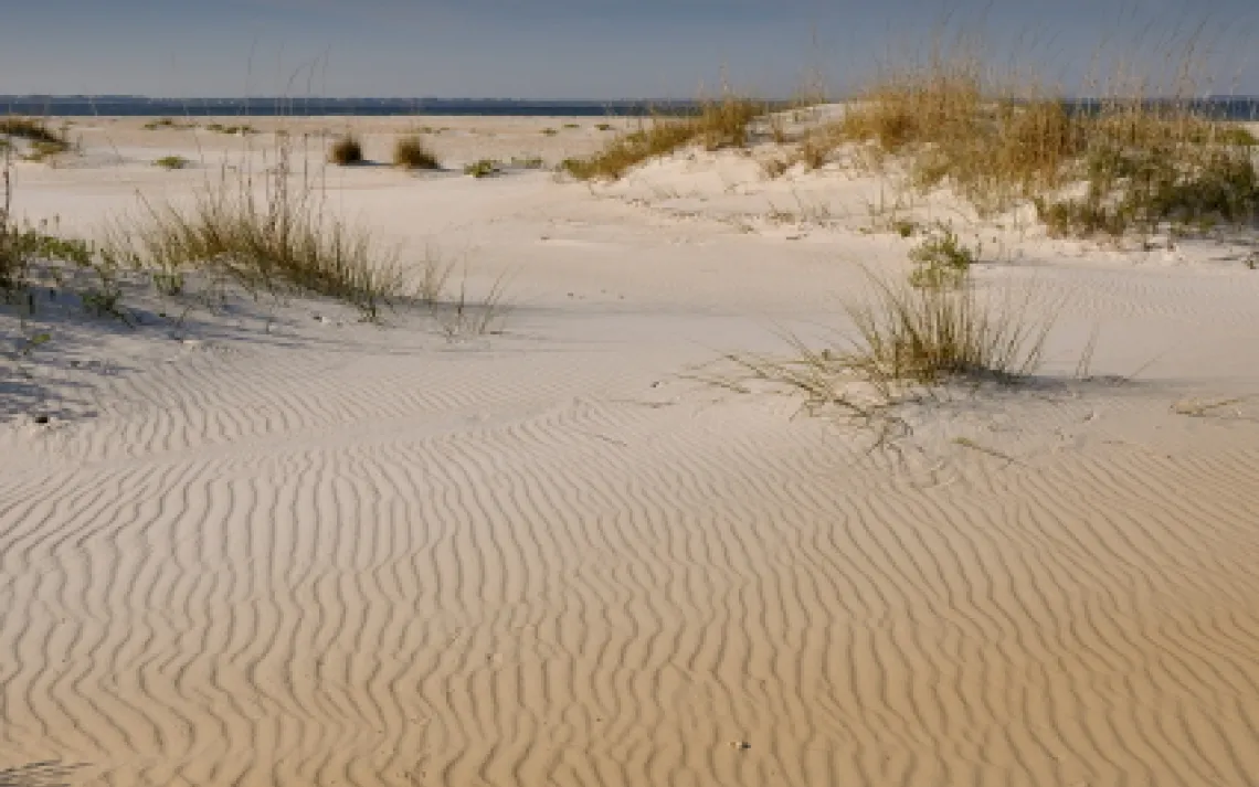 St. George Island State Park