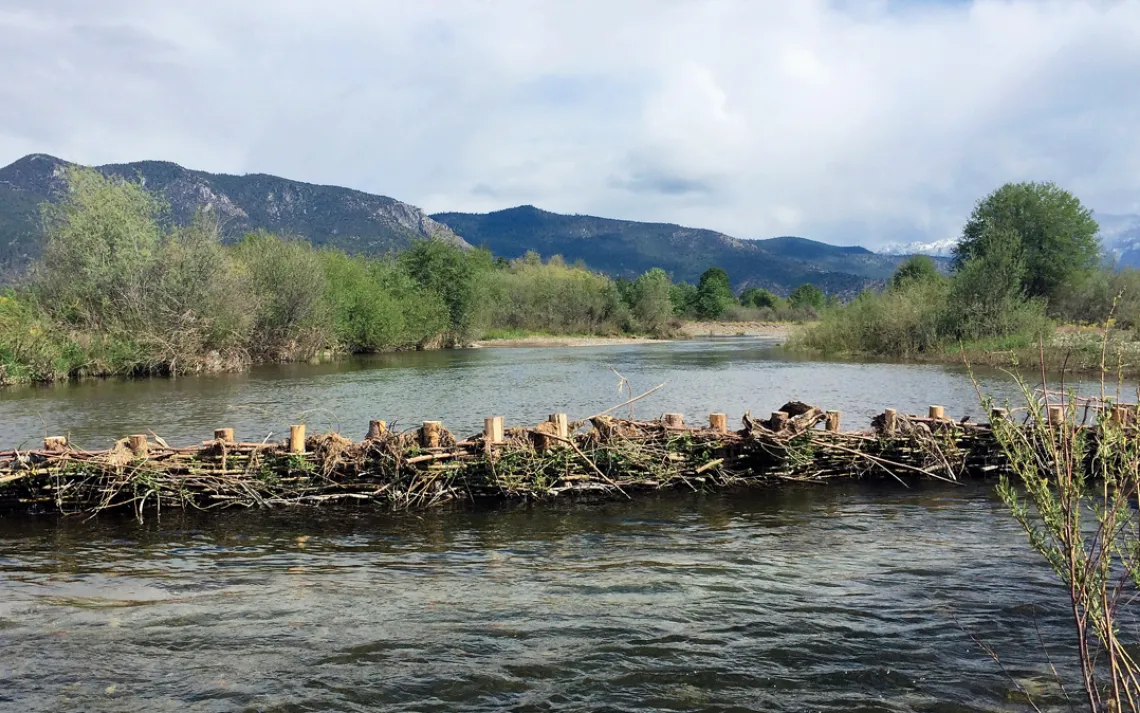 One of three beaver-dam analogues on the Scott River in Northern California.