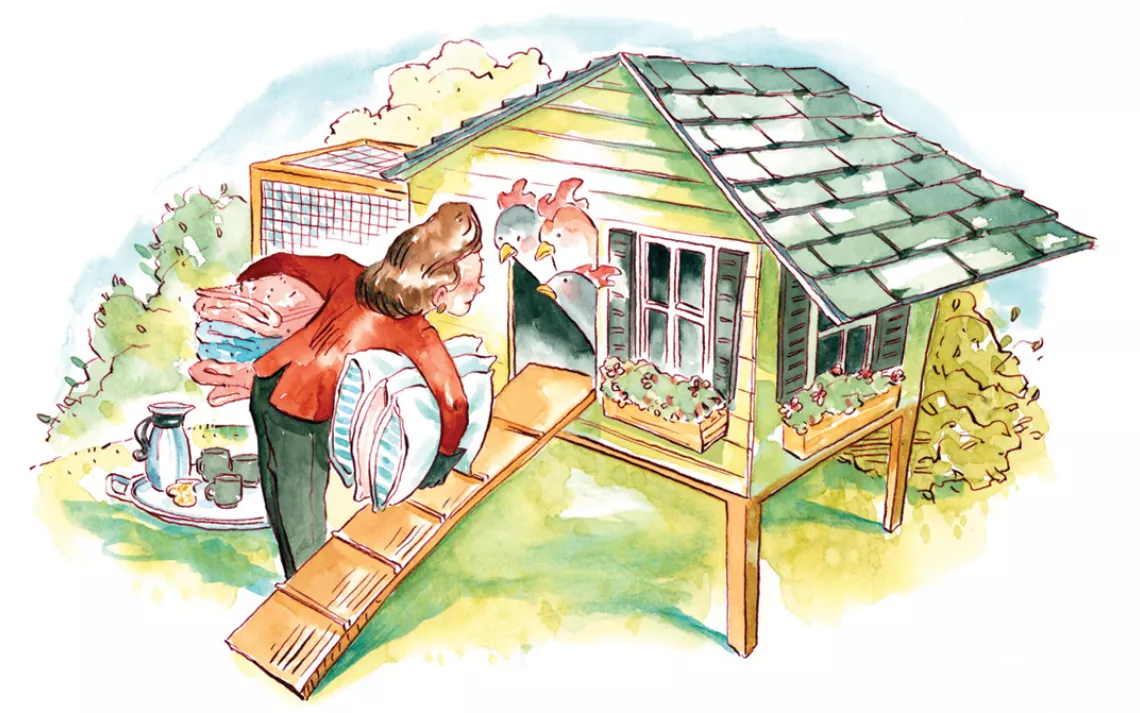 Backyard chicken coup