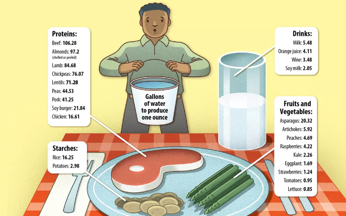 The amount of water required to produce one ounce of key food items.
