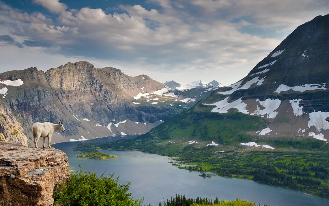 View from Hidden Lake Trail in Glacier National Park