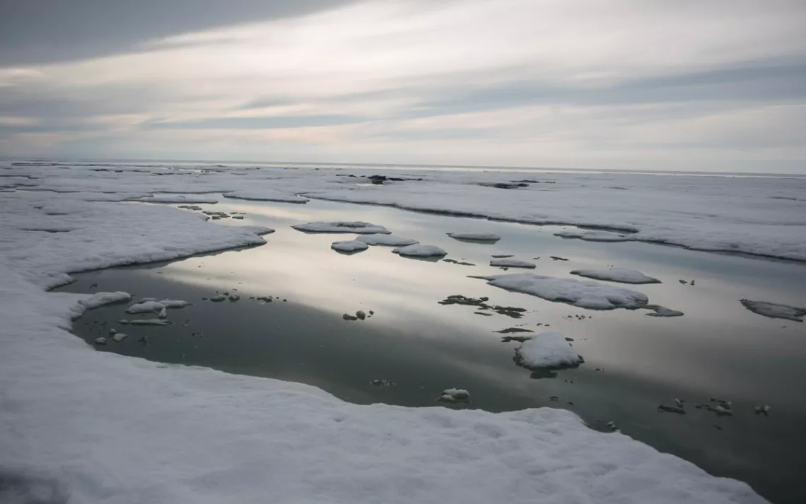 Thawing sea ice has formed meltwater pools off of Kaktovik, Alaska, in July. Arctic National Wildlife Refuge