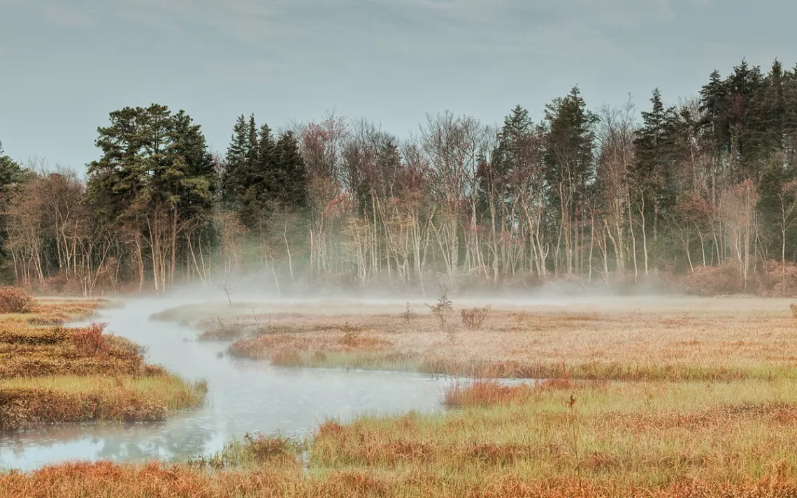 Steam rises from water in a field at New Jersey Pinelands National Reserve.