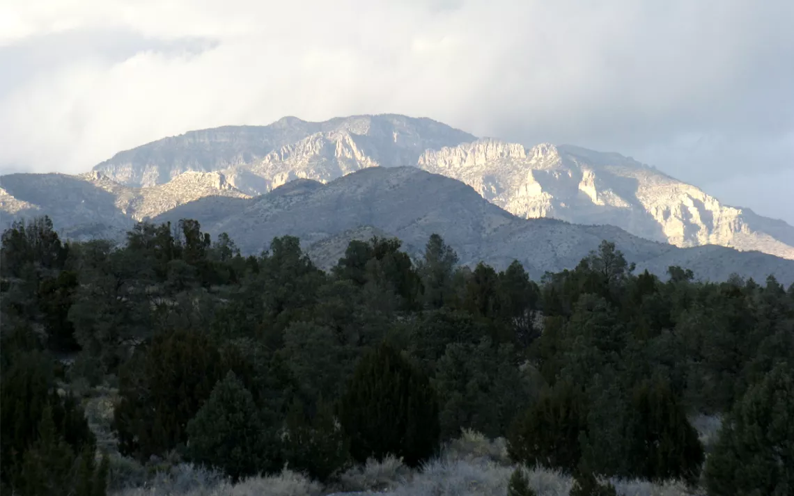 Sunlight hits rocky mountaintops in the background. The forested foreground is dark.