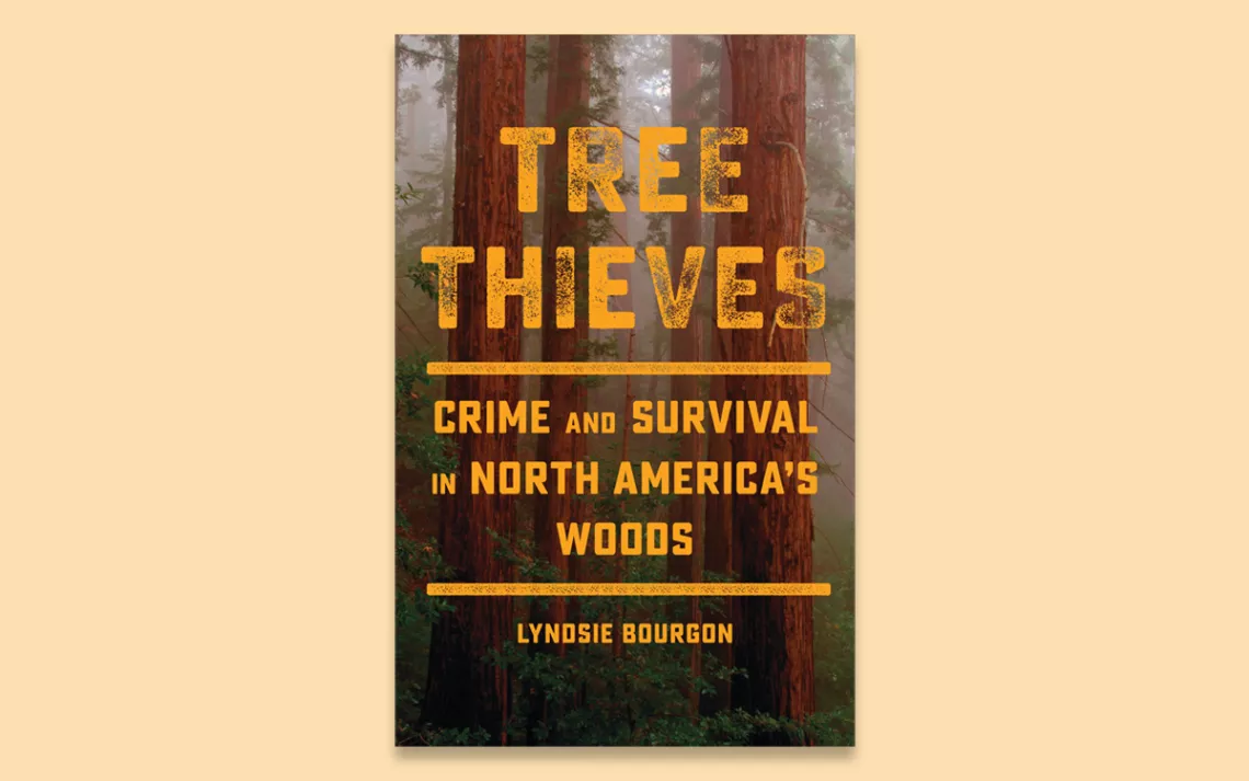 Cover image of the book Tree Thieves: Crime and Survival in North America’s Woods 
