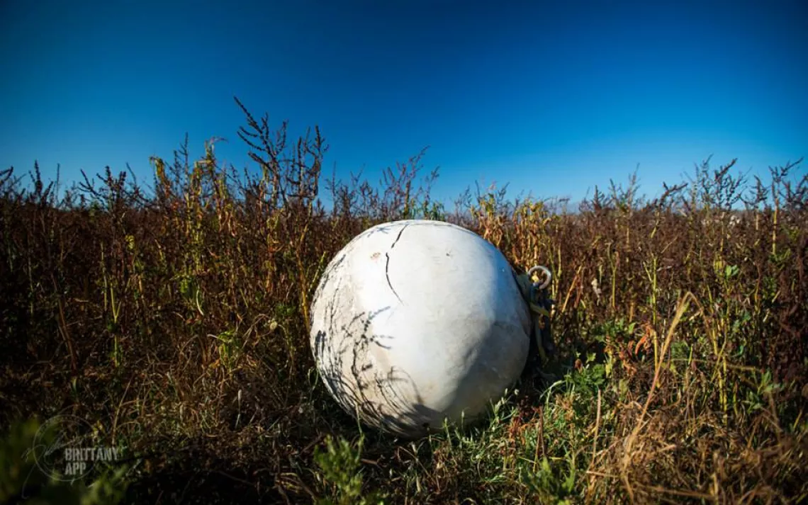 A buoy sits on a dry lake bed San Luis Obispo CA