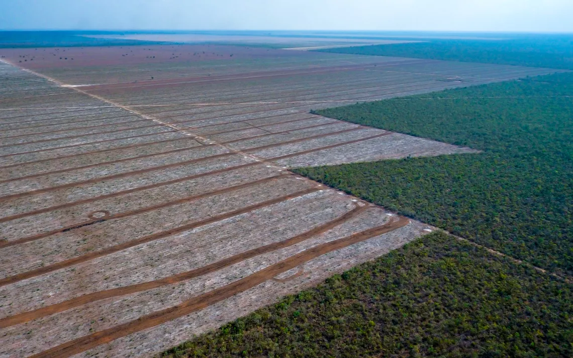 Deforestation in the Cerrado