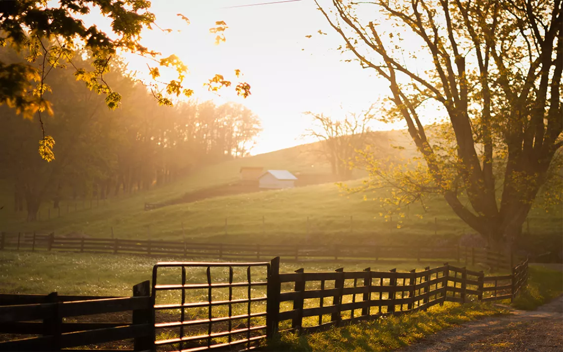 Appalachia 