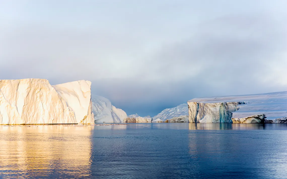 Arctic