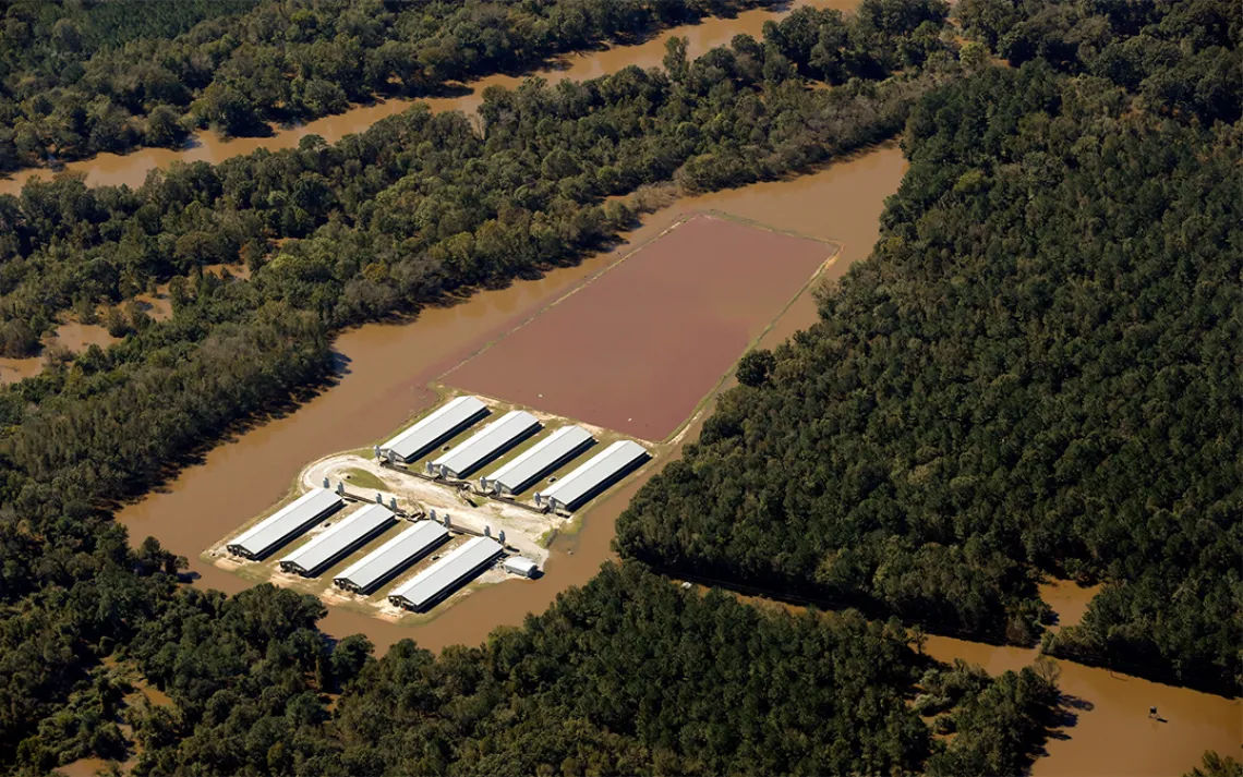 CAFO flooding