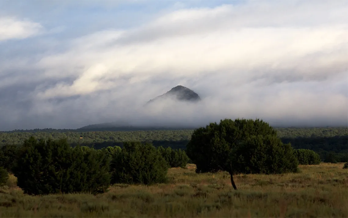 El Malpaisa