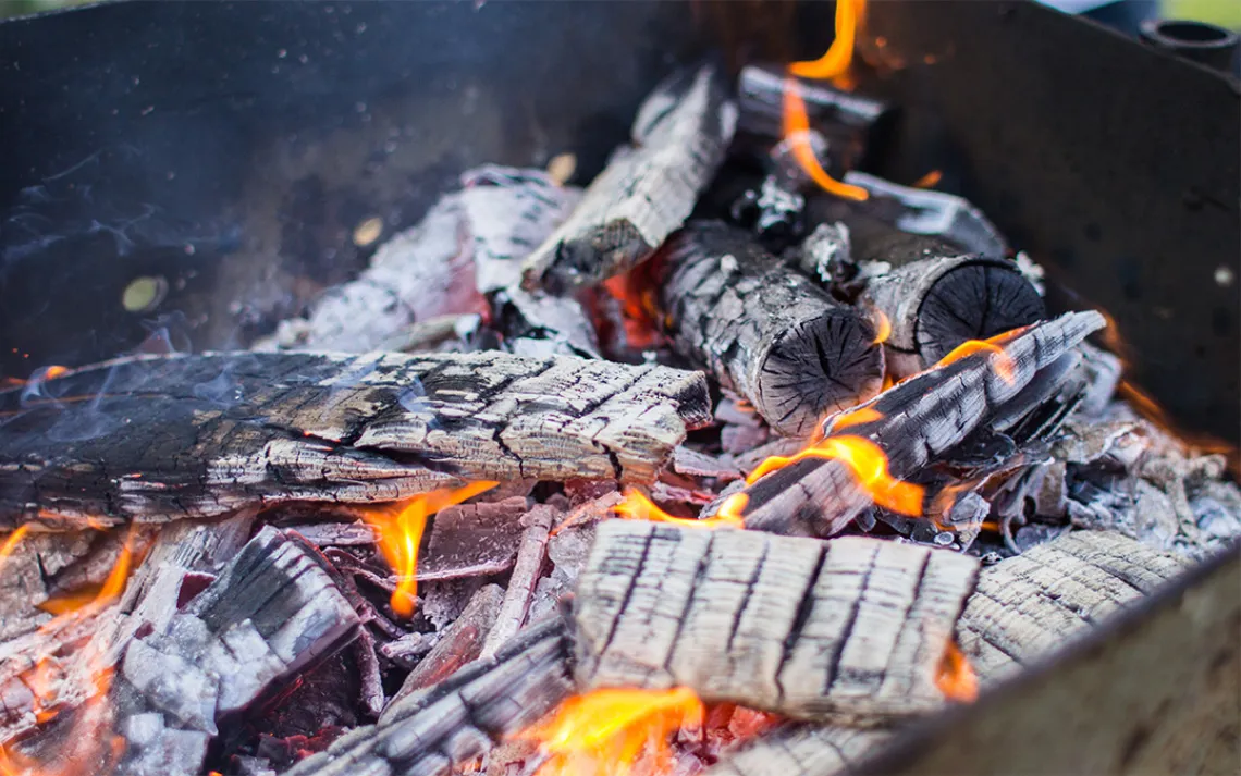 Hey Mr. Green! What Should I Do With Ashes From a Woodstove Fireplace? |  Sierra Club