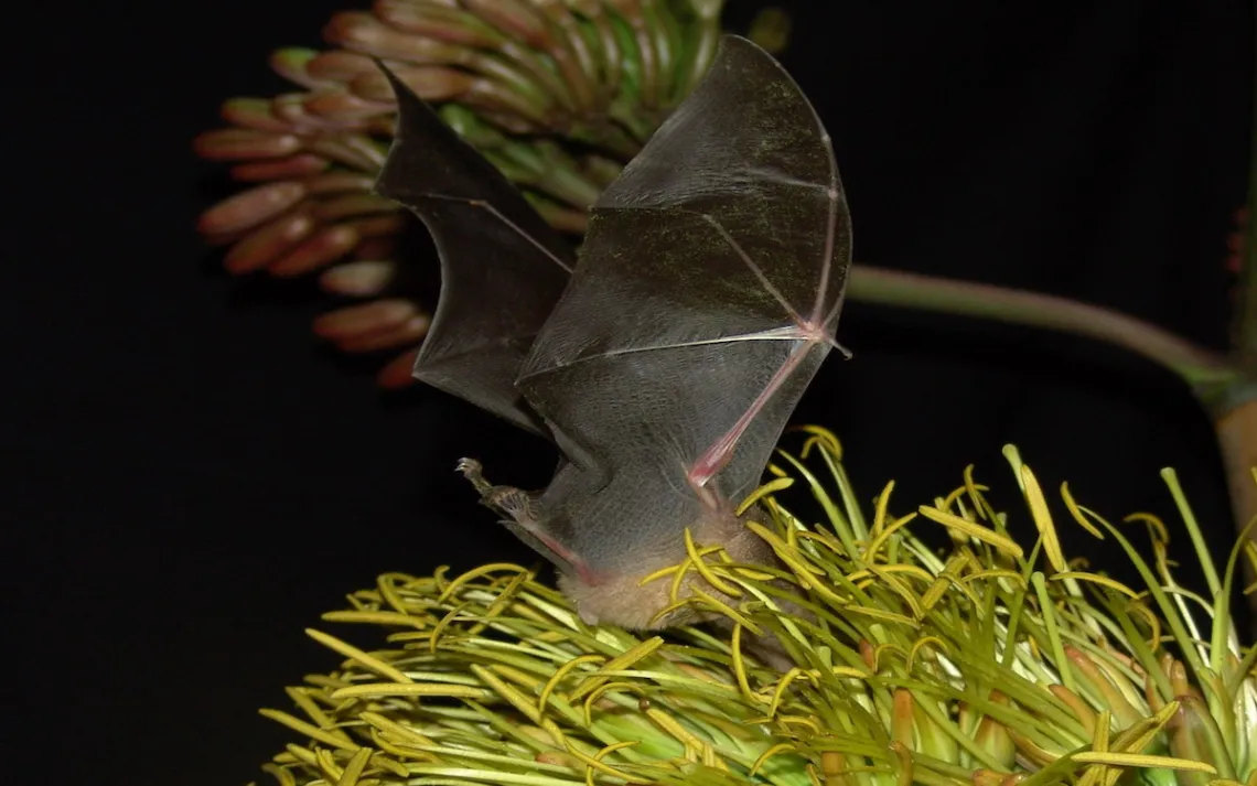 filename