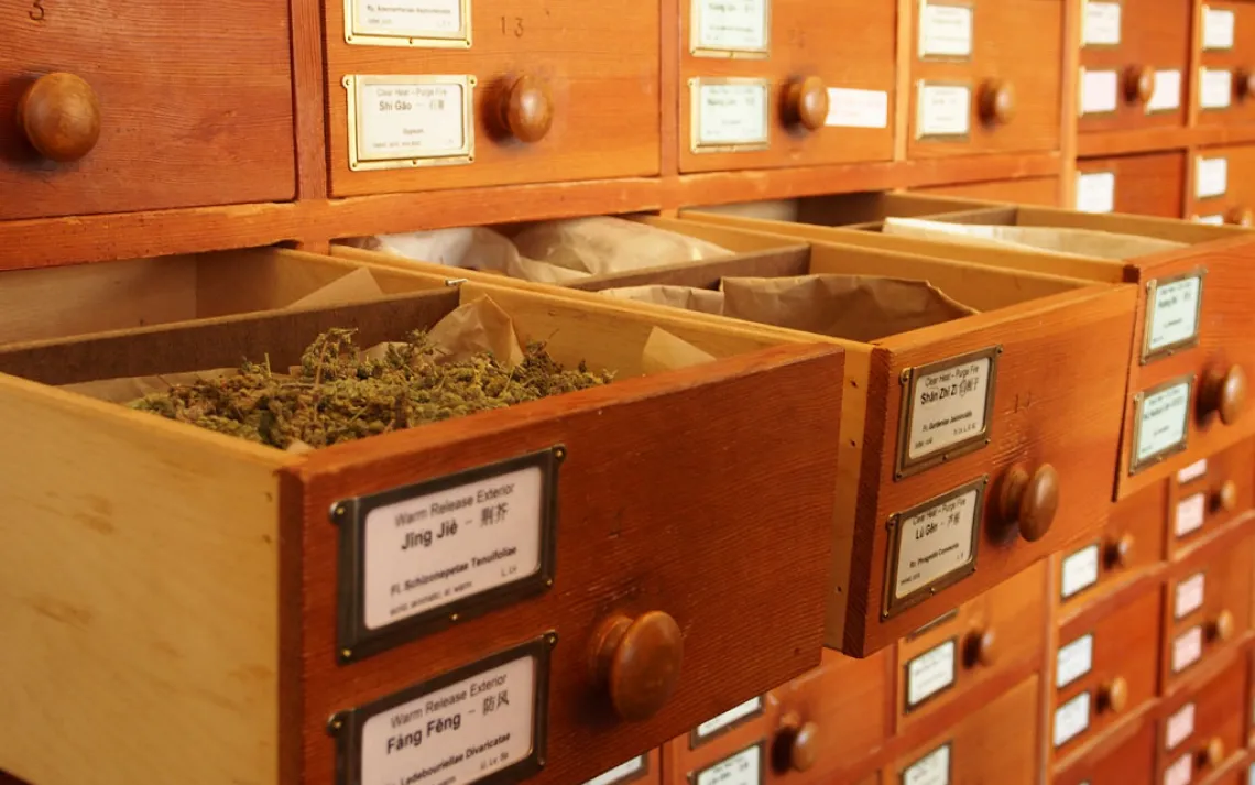 American College of Traditional Chinese Medicine