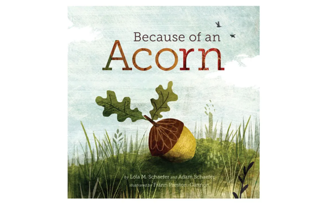 Because of an Acorn