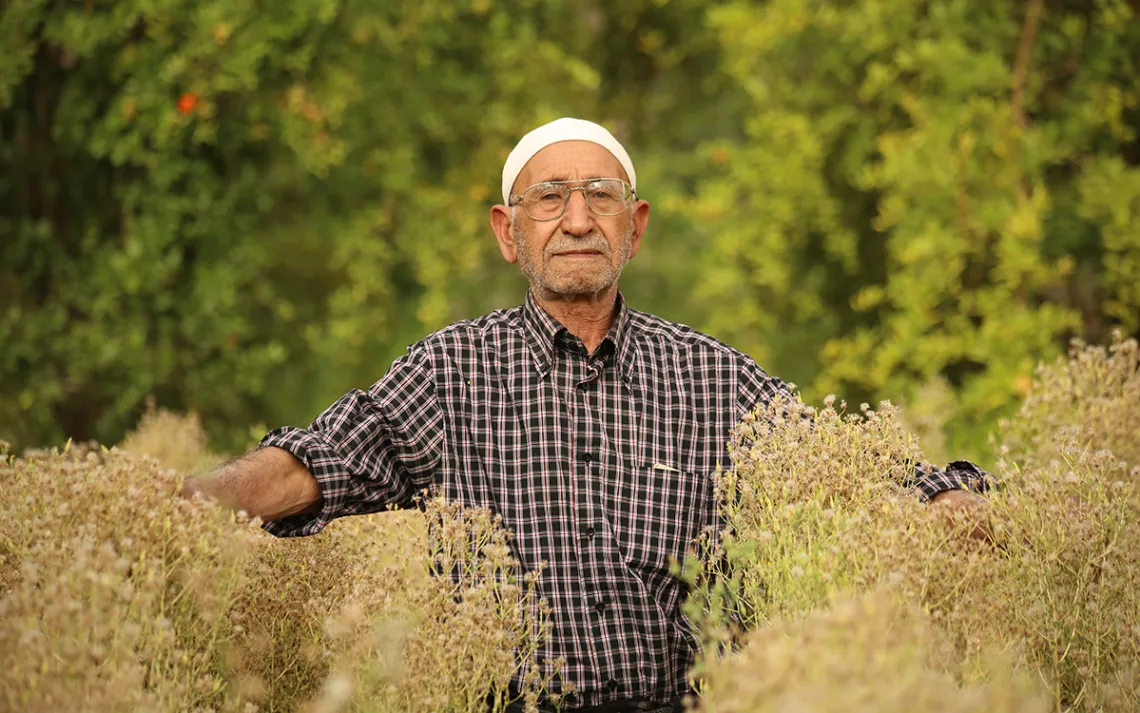 Tunisan man in a white hat and checked shirt surrounded by wild, dry, spindly plants that he's let go to seed. 