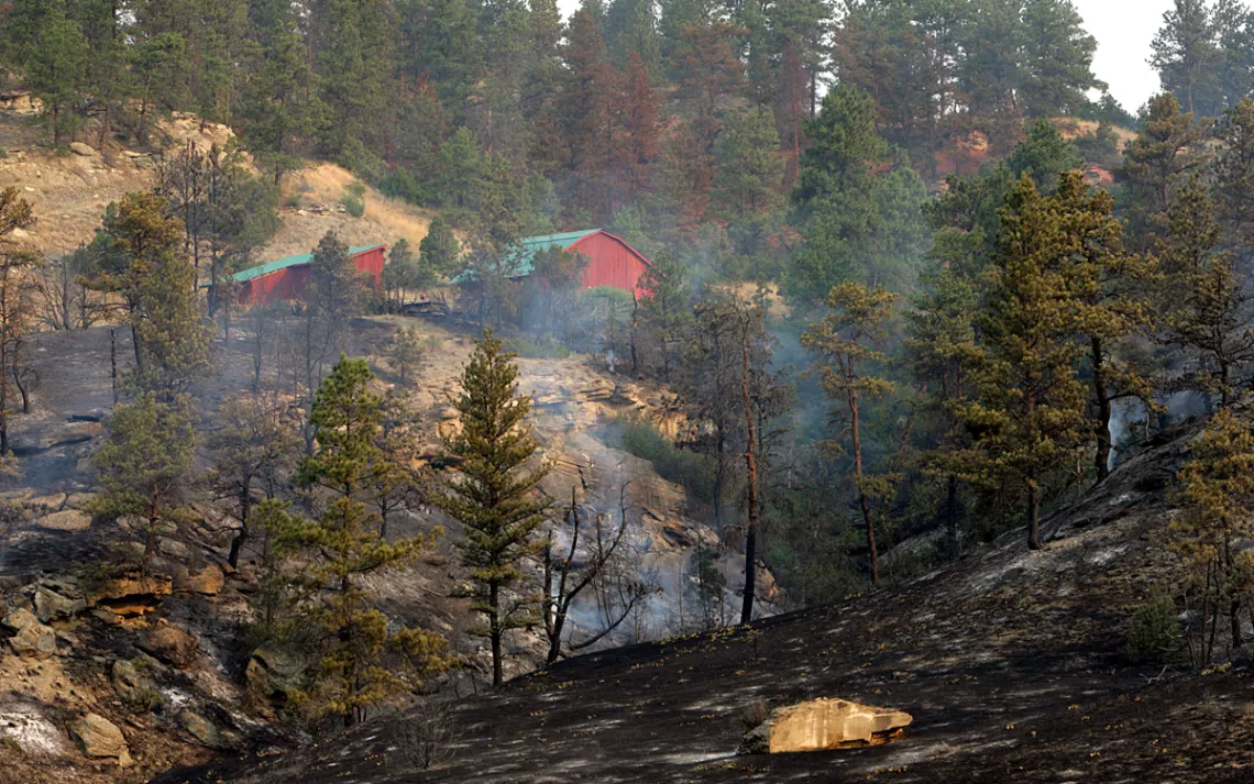Charred earth and trees smoke with a red house in the background.