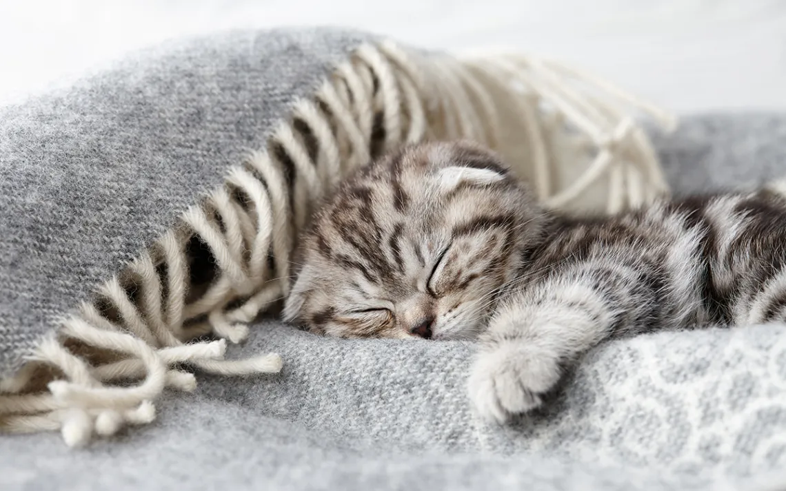 Heating Hacks for Winter | Sierra Club