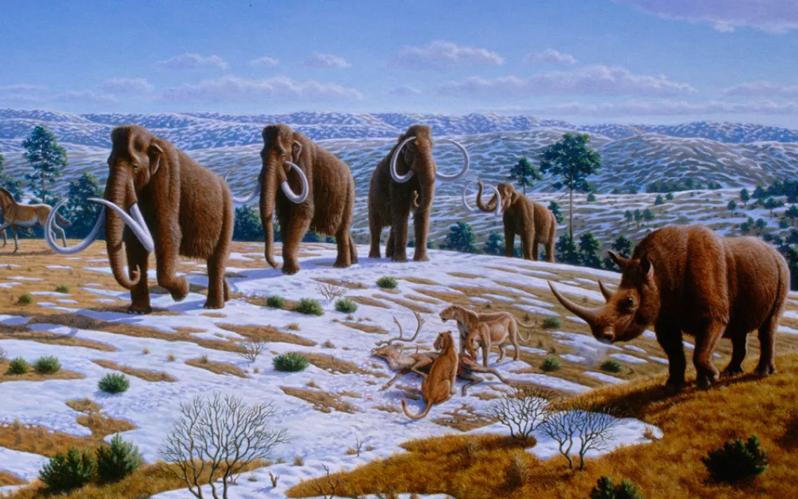 Mammoths