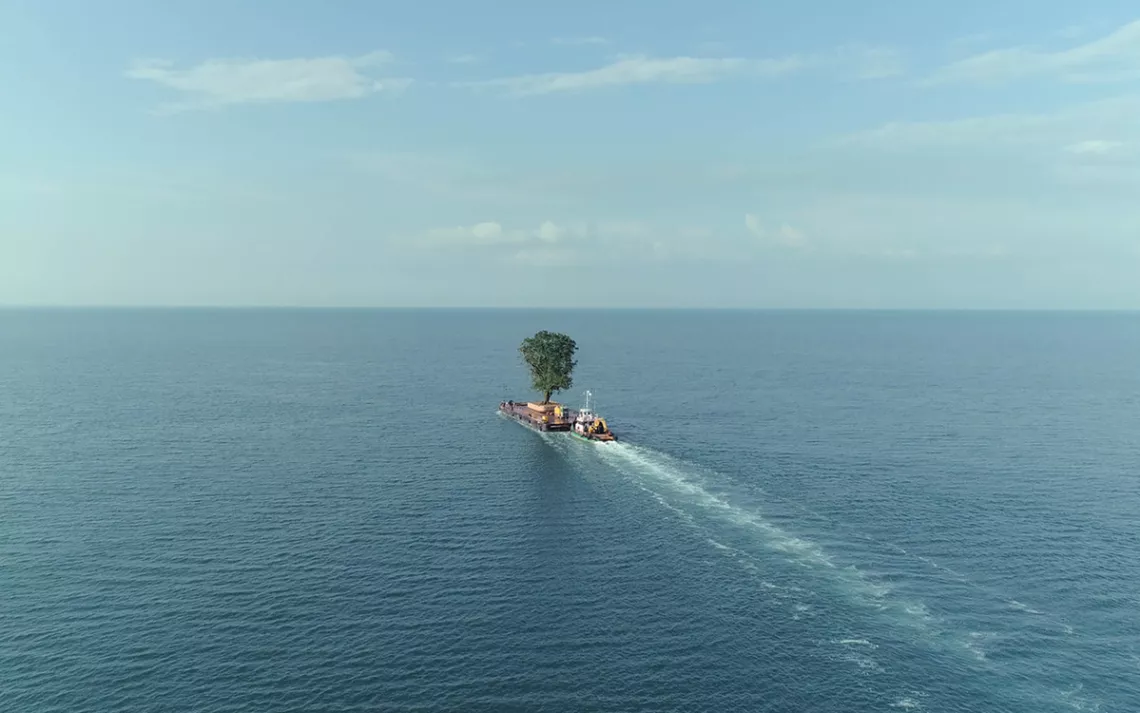 Very big tree on a barge sailing through a sea of calm blue water.